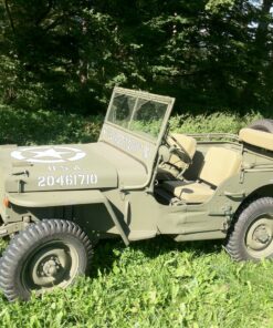 WJW-COD/1 US oliv stumpfmatt WW2, Gebinde 1kg