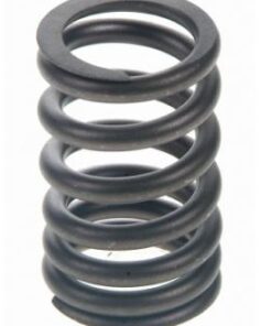 WO-800417 OEM Ventilfeder, Einlass